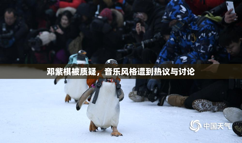 邓紫棋被质疑，音乐风格遭到热议与讨论