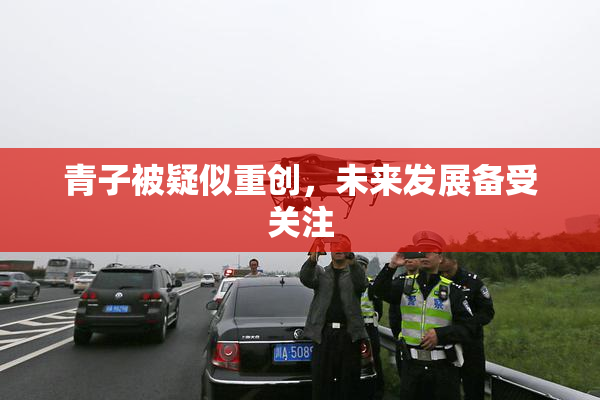 青子被疑似重创，未来发展备受关注