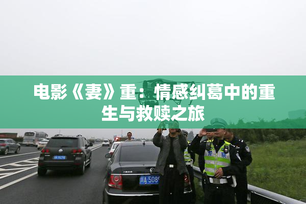 电影《妻》重：情感纠葛中的重生与救赎之旅