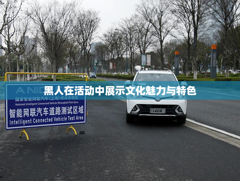 黑人在活动中展示文化魅力与特色