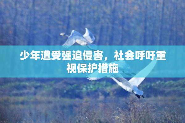 少年遭受强迫侵害，社会呼吁重视保护措施