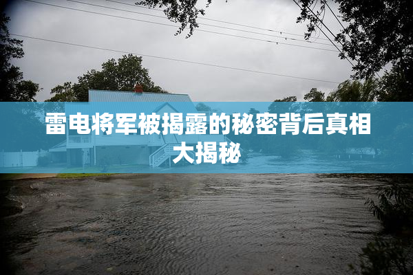 雷电将军被揭露的秘密背后真相大揭秘