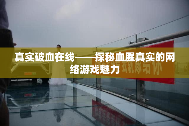 真实破血在线——探秘血腥真实的网络游戏魅力