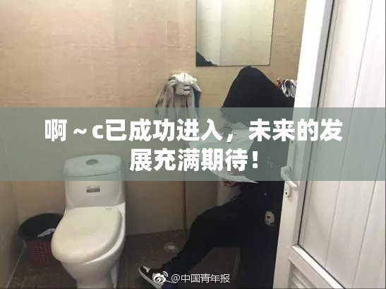 啊～c已成功进入，未来的发展充满期待！