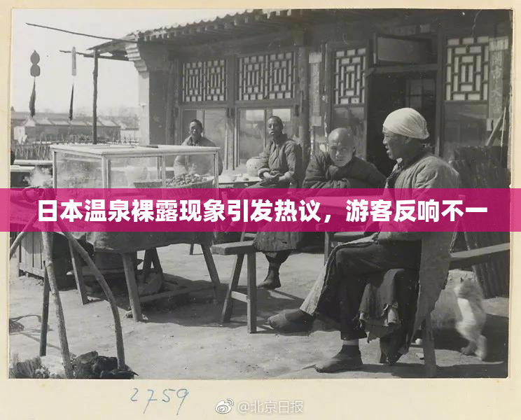 日本温泉裸露现象引发热议，游客反响不一