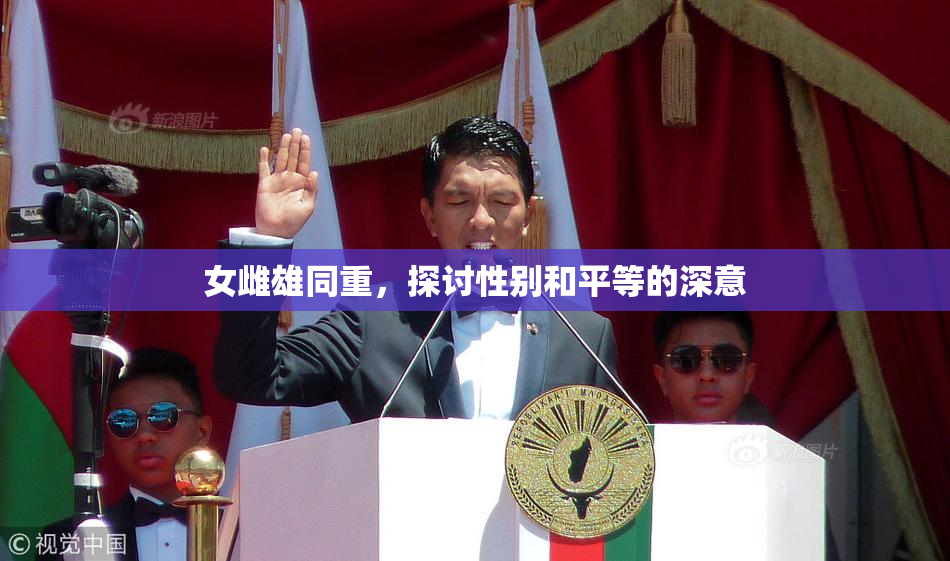 女雌雄同重，探讨性别和平等的深意