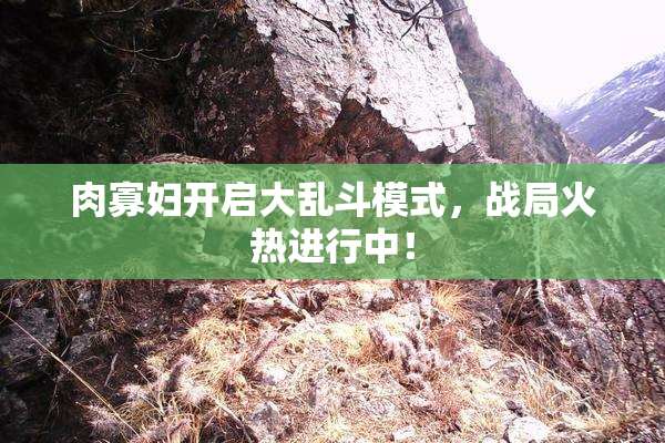 肉寡妇开启大乱斗模式，战局火热进行中！