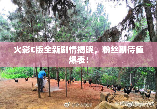 火影C版全新剧情揭晓，粉丝期待值爆表！
