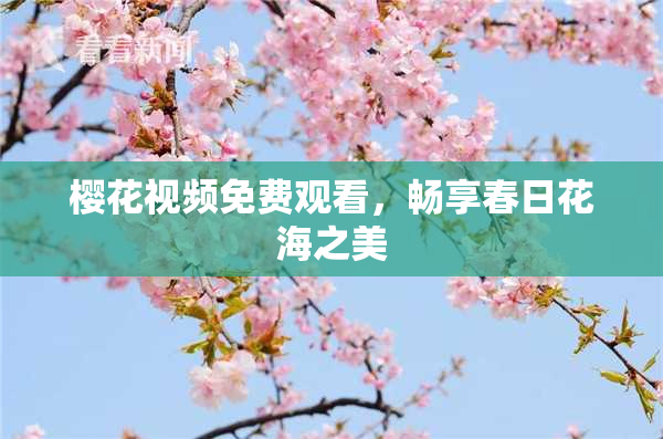 樱花视频免费观看，畅享春日花海之美