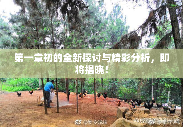 第一章初的全新探讨与精彩分析，即将揭晓！