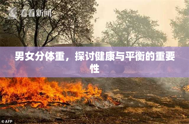 男女分体重，探讨健康与平衡的重要性