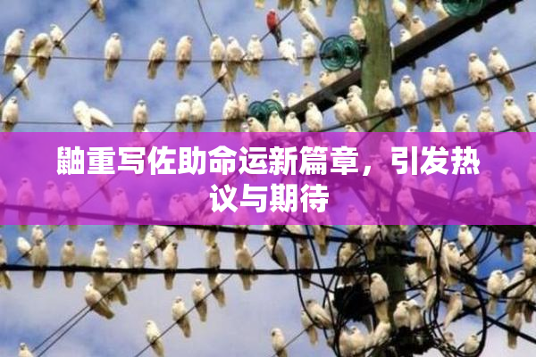 鼬重写佐助命运新篇章，引发热议与期待