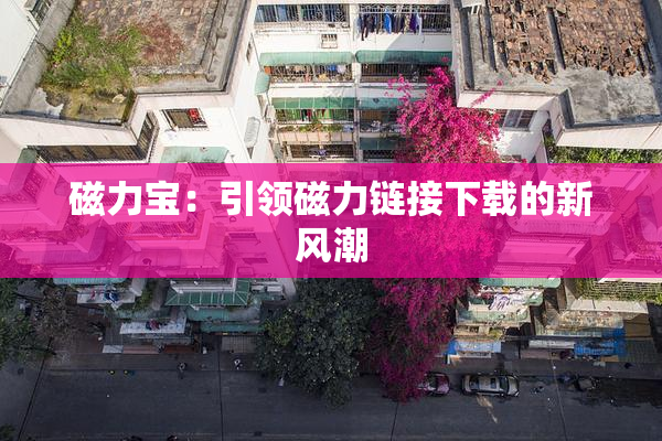 磁力宝：引领磁力链接下载的新风潮