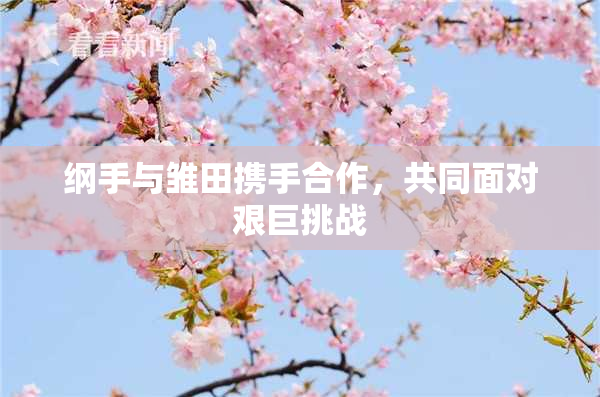 纲手与雏田携手合作，共同面对艰巨挑战