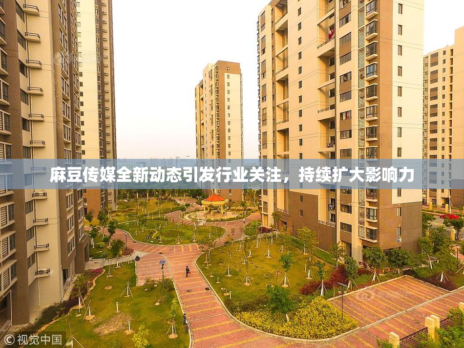 麻豆传媒全新动态引发行业关注，持续扩大影响力