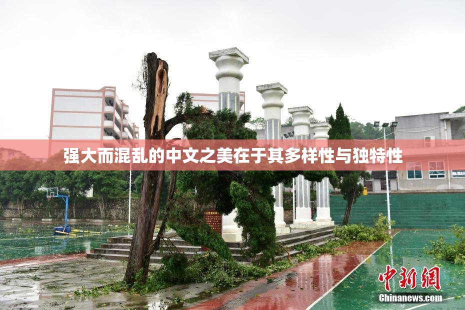 强大而混乱的中文之美在于其多样性与独特性