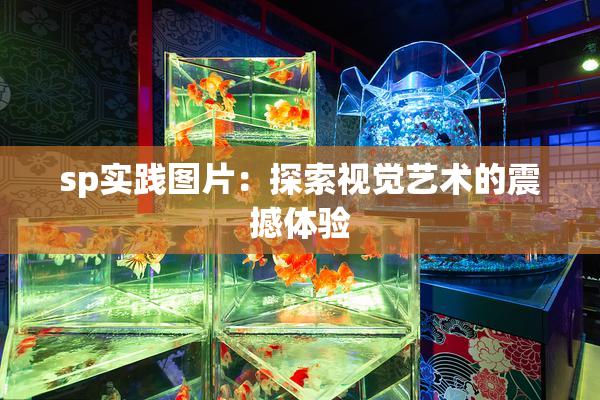 sp实践图片：探索视觉艺术的震撼体验