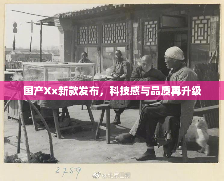 国产Xx新款发布，科技感与品质再升级