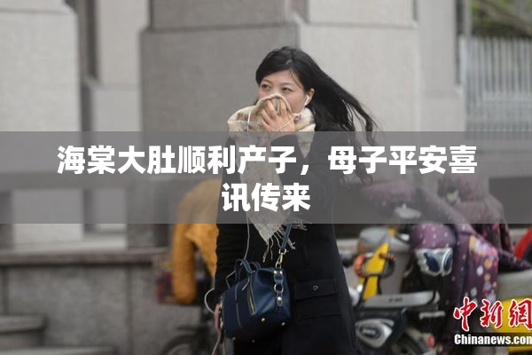 海棠大肚顺利产子，母子平安喜讯传来