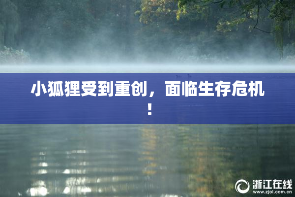 小狐狸受到重创，面临生存危机！