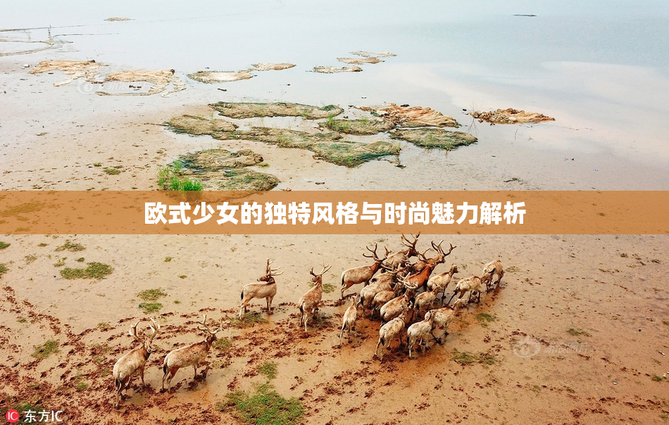 欧式少女的独特风格与时尚魅力解析