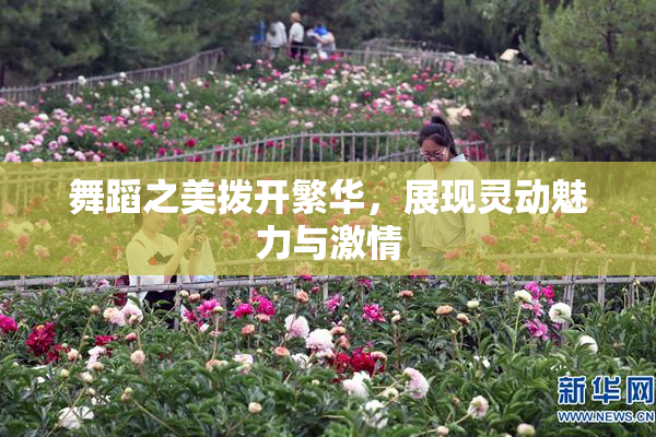 舞蹈之美拨开繁华，展现灵动魅力与激情