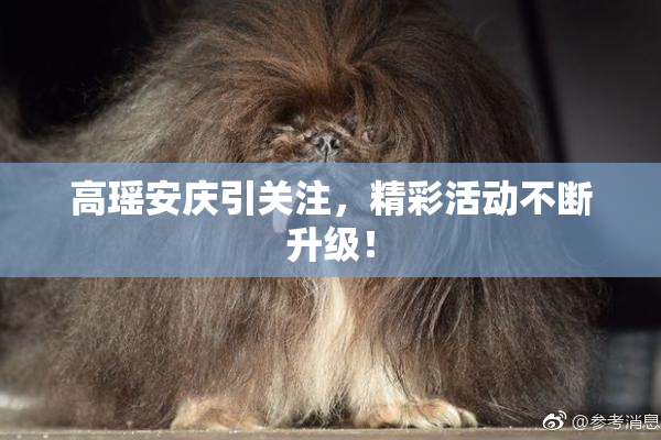 高瑶安庆引关注，精彩活动不断升级！