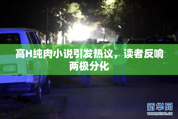 高H纯肉小说引发热议，读者反响两极分化