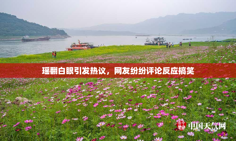 瑶翻白眼引发热议，网友纷纷评论反应搞笑