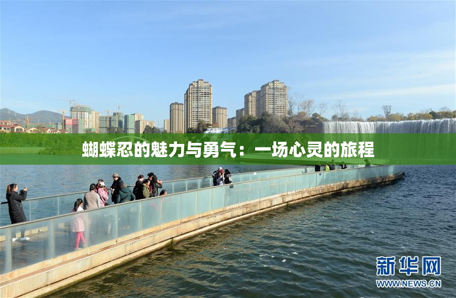 蝴蝶忍的魅力与勇气：一场心灵的旅程