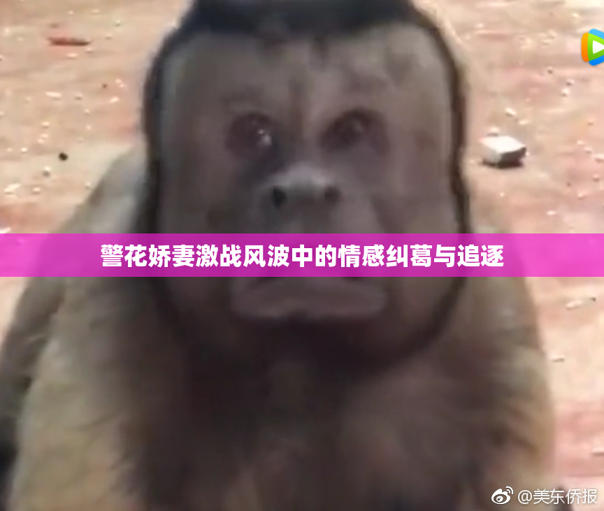 警花娇妻激战风波中的情感纠葛与追逐