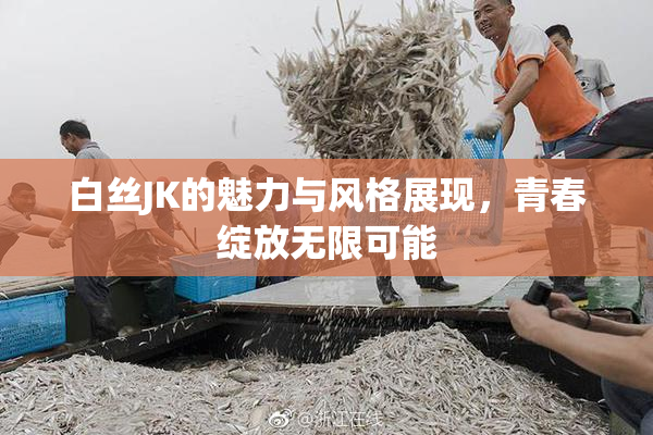 白丝JK的魅力与风格展现，青春绽放无限可能
