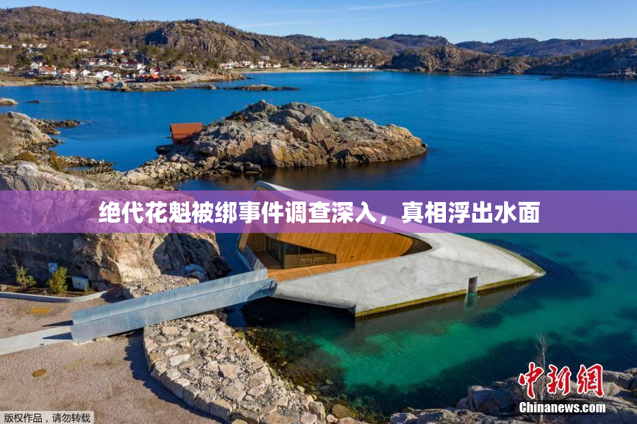 绝代花魁被绑事件调查深入，真相浮出水面