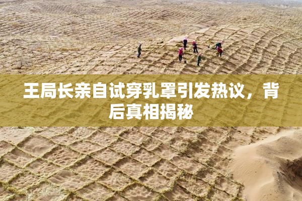 王局长亲自试穿乳罩引发热议，背后真相揭秘