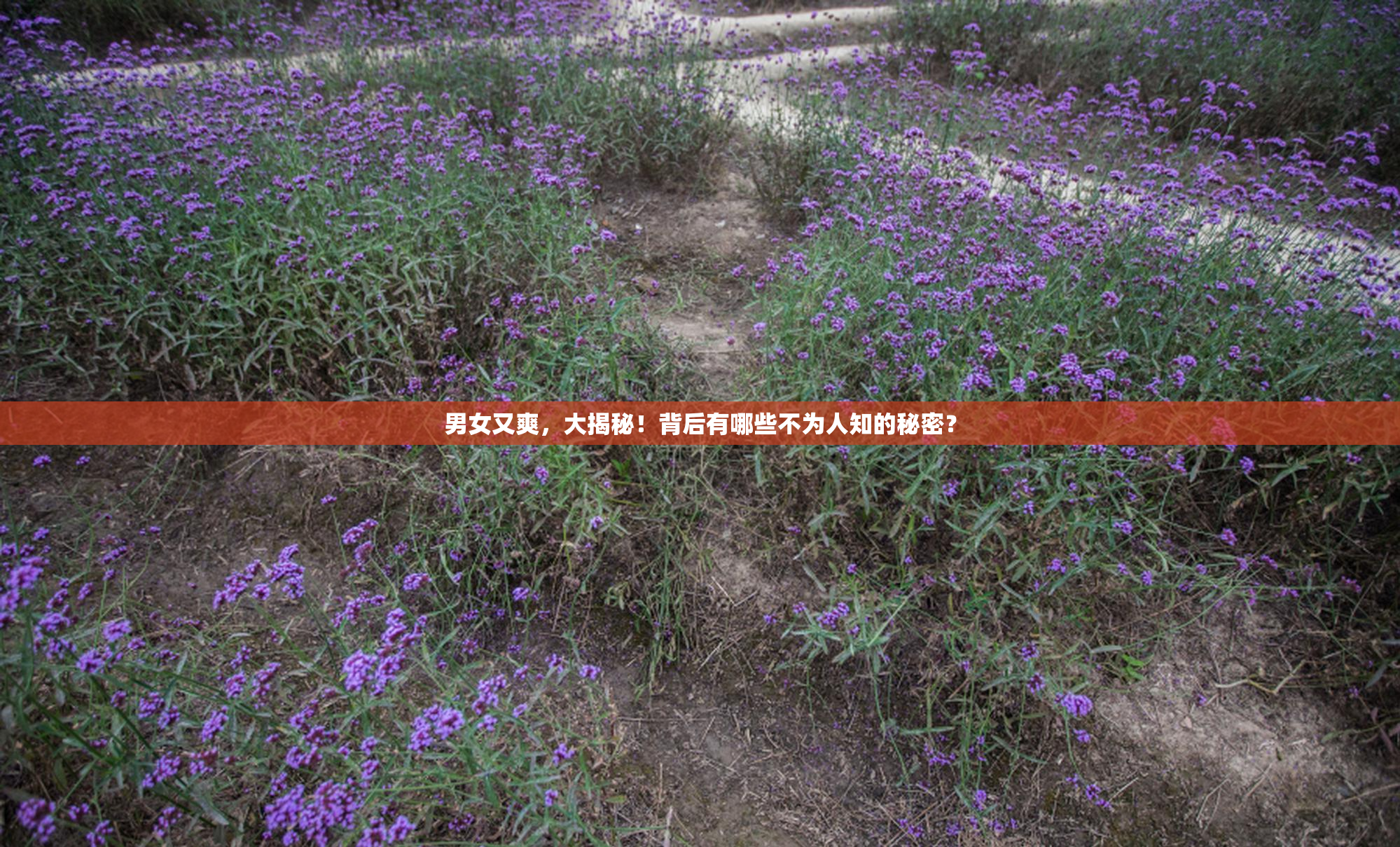 男女又爽，大揭秘！背后有哪些不为人知的秘密？