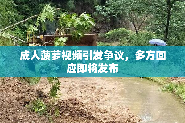 成人菠萝视频引发争议，多方回应即将发布