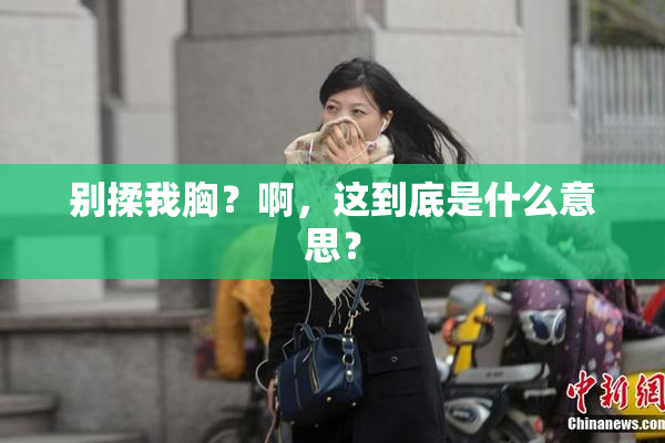 别揉我胸？啊，这到底是什么意思？