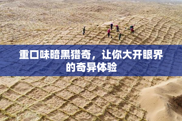 重口味暗黑猎奇，让你大开眼界的奇异体验