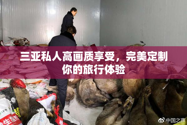 三亚私人高画质享受，完美定制你的旅行体验