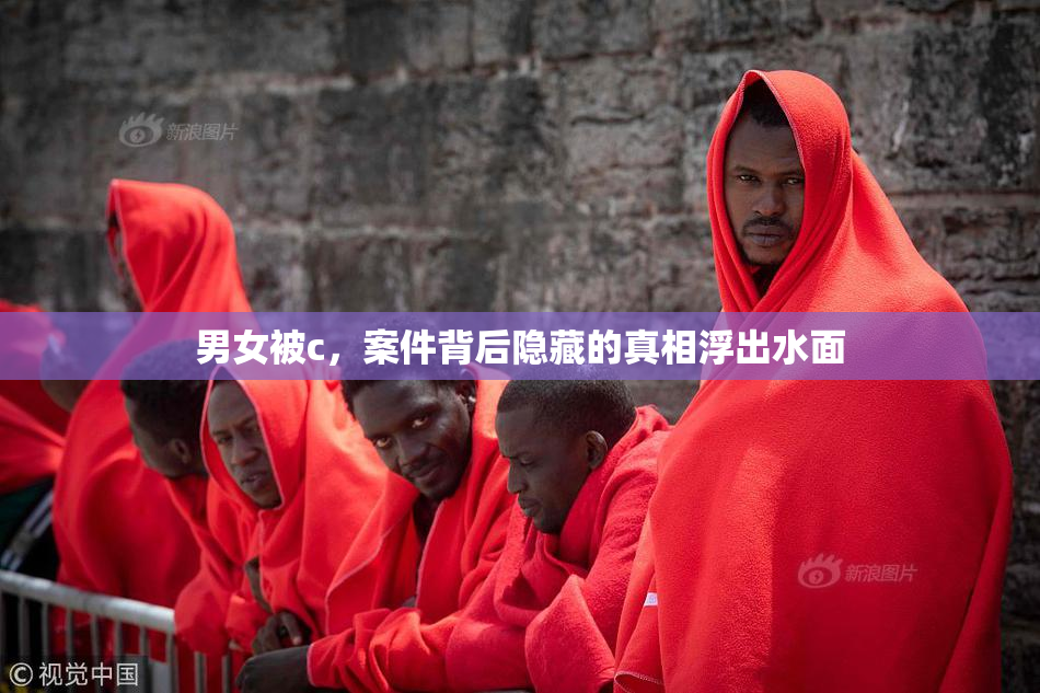 男女被c，案件背后隐藏的真相浮出水面