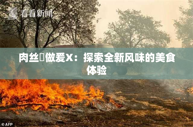 肉丝祙做爰X：探索全新风味的美食体验