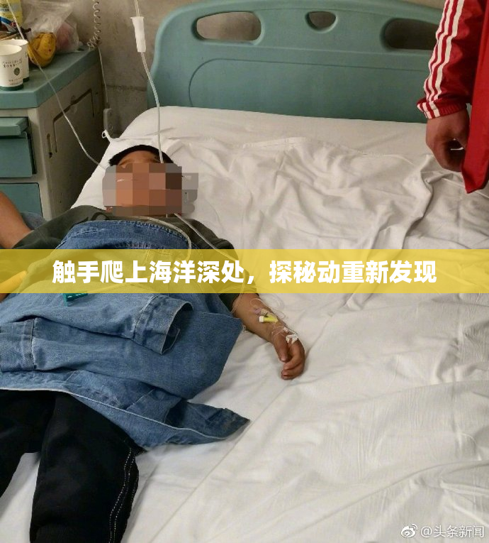 触手爬上海洋深处，探秘动重新发现