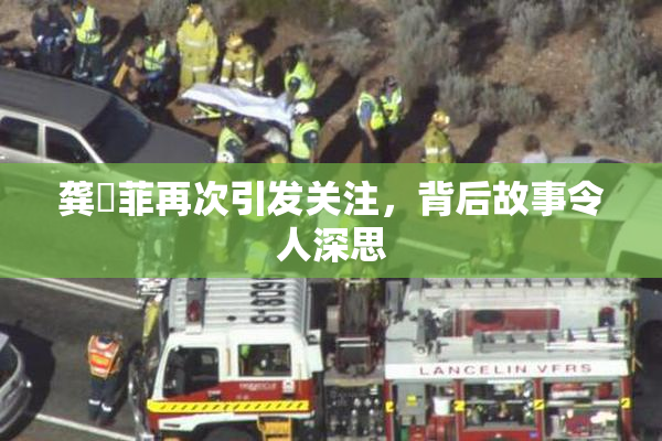 龚玥菲再次引发关注，背后故事令人深思