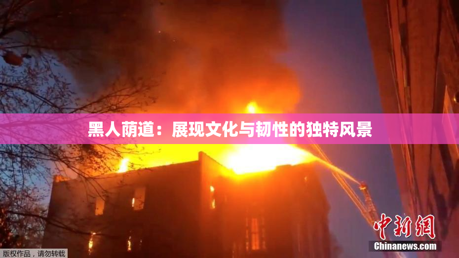 黑人荫道：展现文化与韧性的独特风景