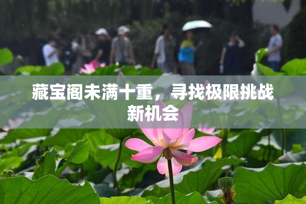 藏宝阁未满十重，寻找极限挑战新机会