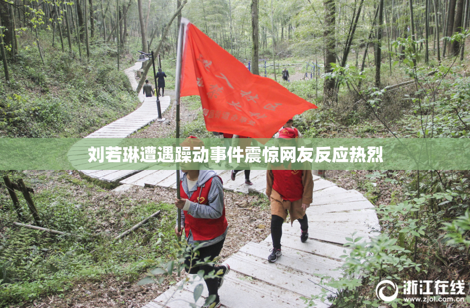 刘若琳遭遇躁动事件震惊网友反应热烈