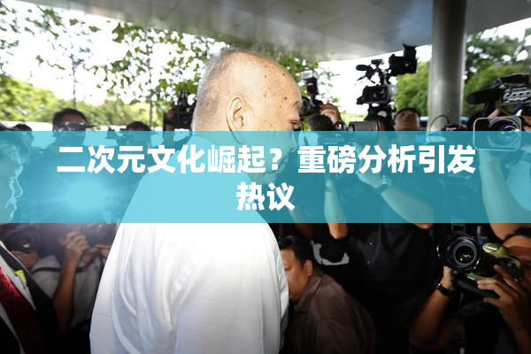 二次元文化崛起？重磅分析引发热议