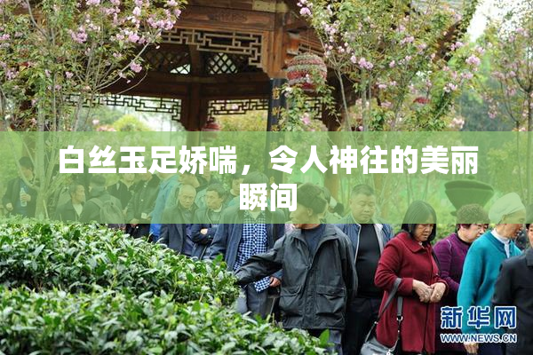 白丝玉足娇喘，令人神往的美丽瞬间
