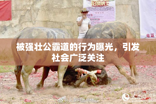 被强壮公霸道的行为曝光，引发社会广泛关注