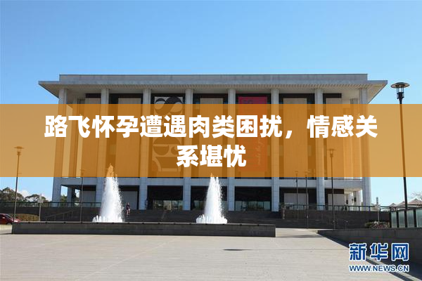 路飞怀孕遭遇肉类困扰，情感关系堪忧